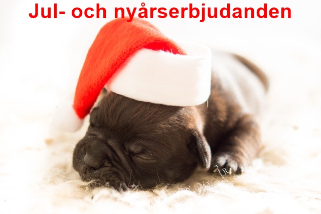 fira jul och nyår