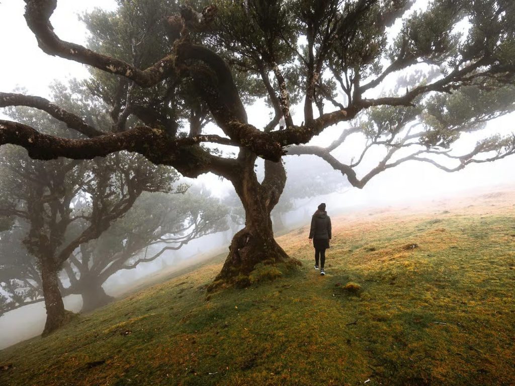 Vandring och naturupplevelser på Madeira