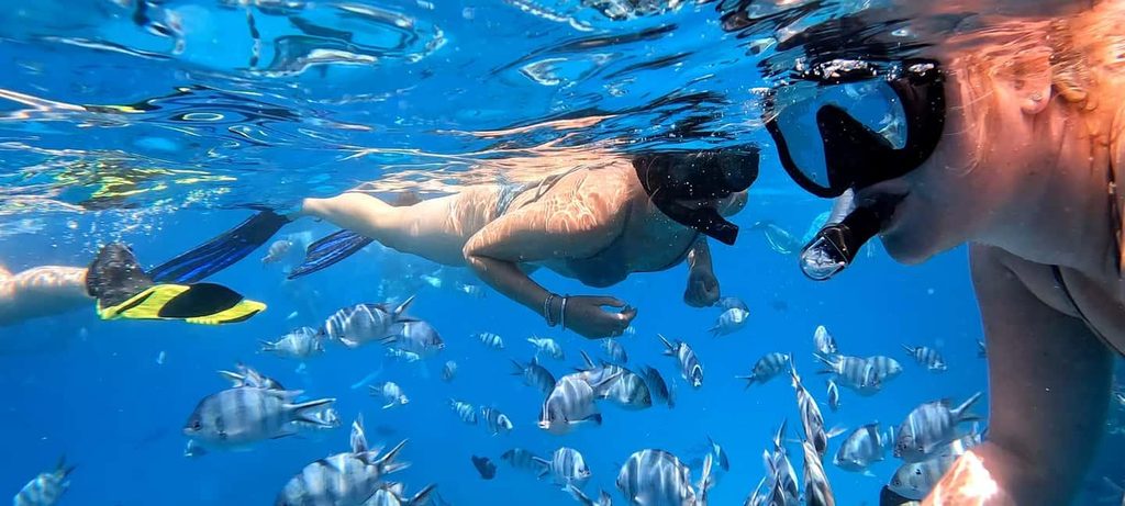 Snorkling bland färgglada fiskar i Röda havet