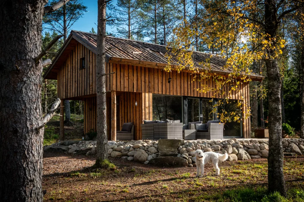 Hund utanför en stuga i skogen på hösten.